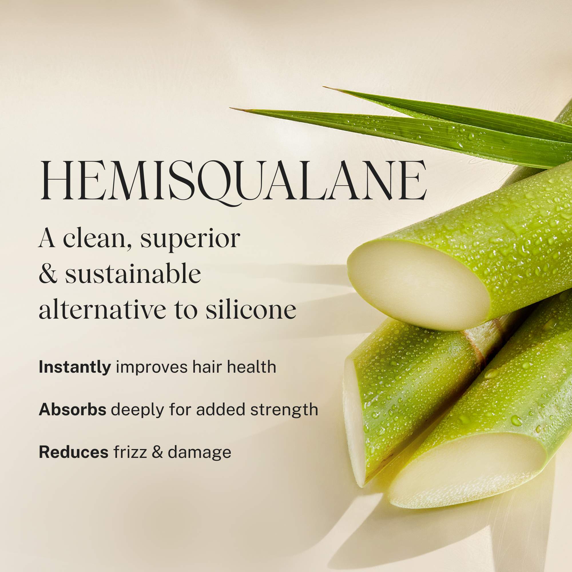 Nurture Hydrating Conditioner - Image 11